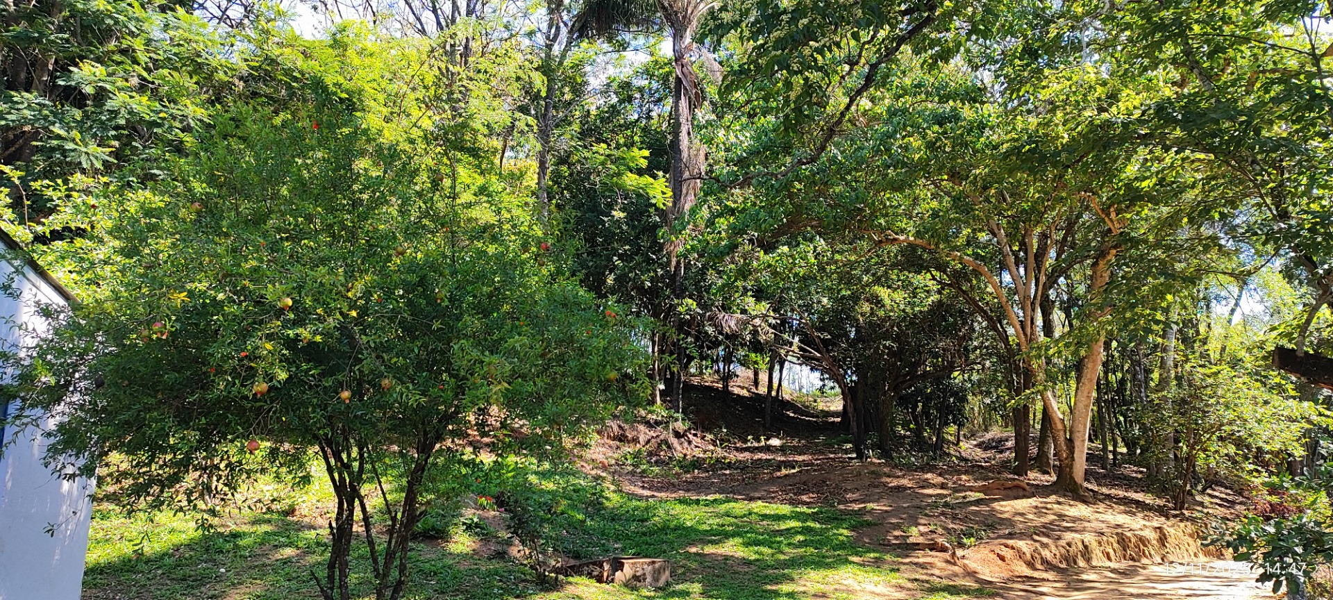 imagem do im�vel 212