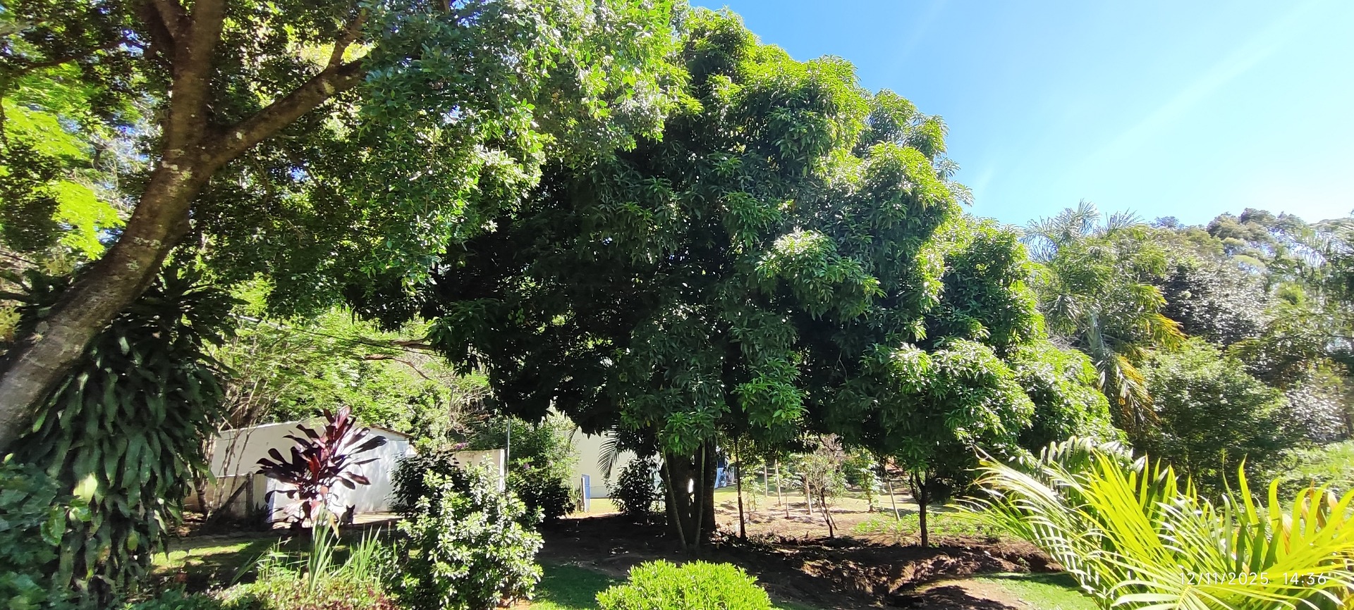 imagem do im�vel 212