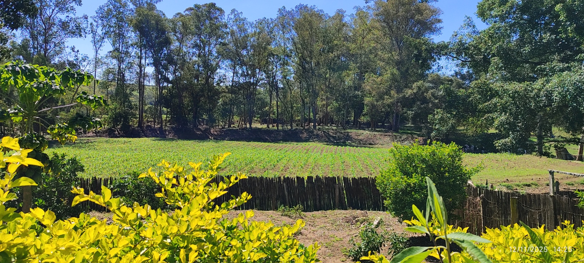 imagem do im�vel 212