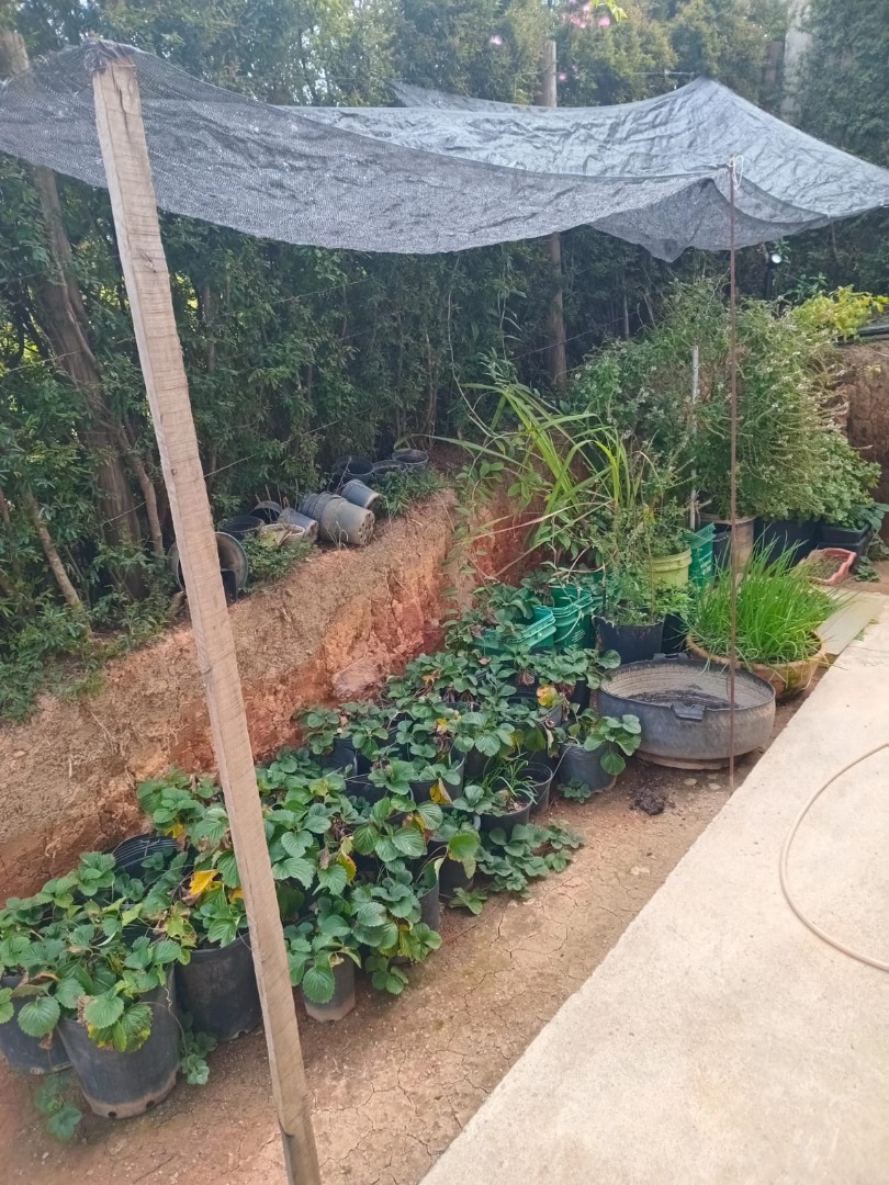 imagem do im�vel 213