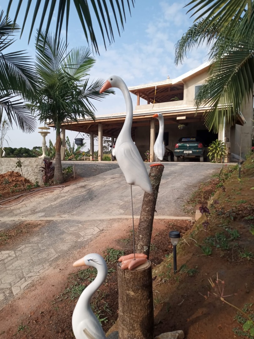 imagem do im�vel 213