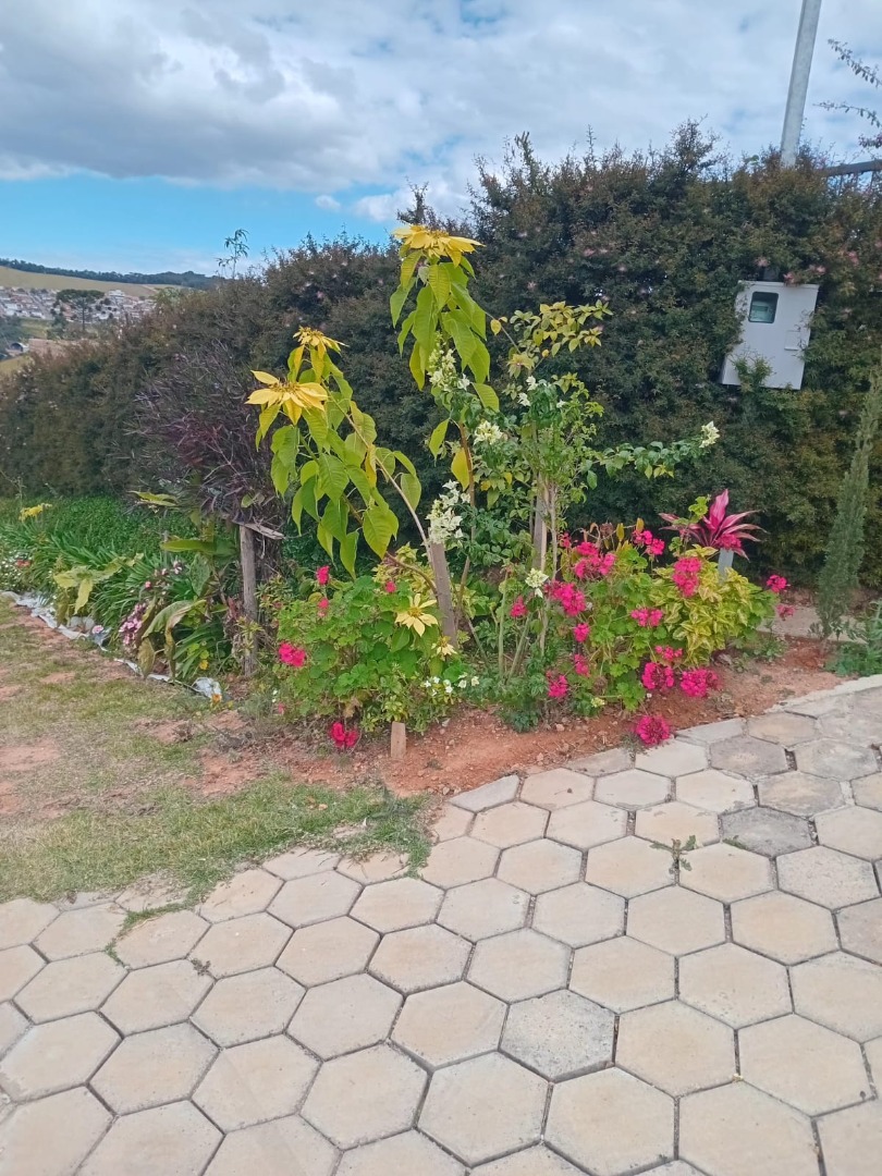 imagem do im�vel 213