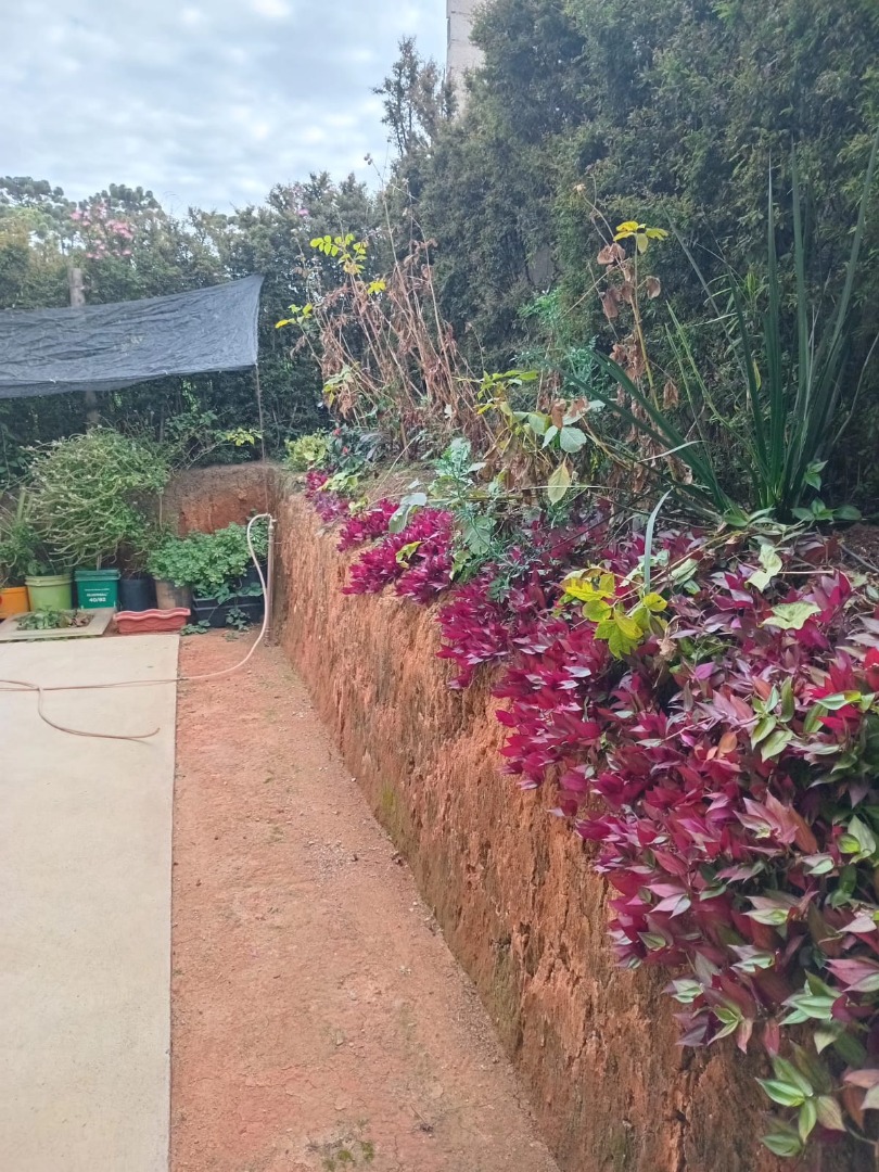 imagem do im�vel 213