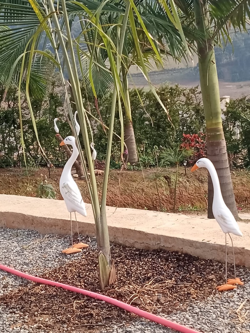 imagem do im�vel 213